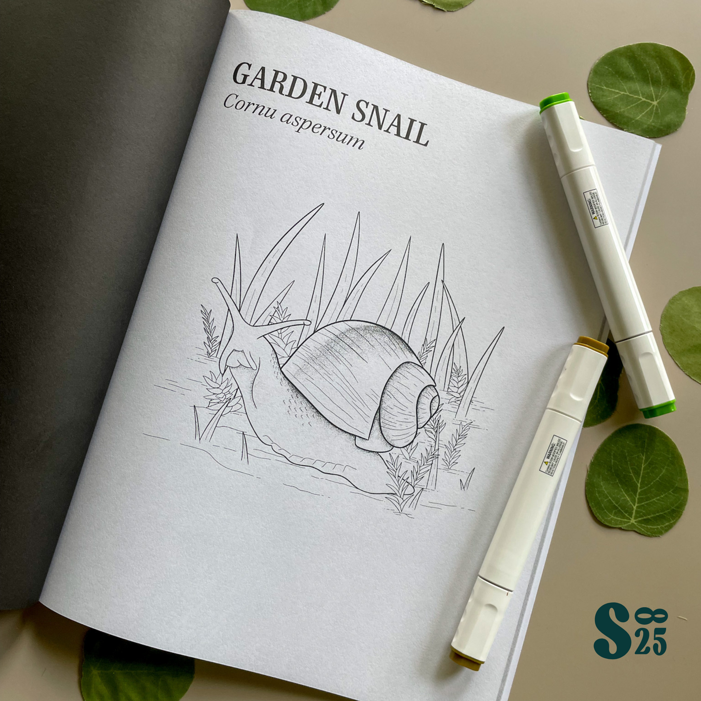 Garden Friends - Adult Coloring for Nature Lovers