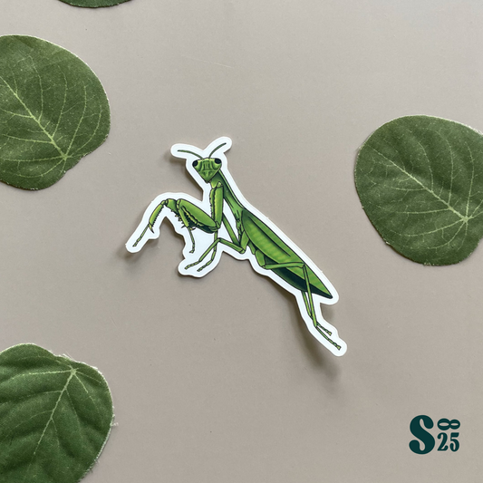 Mantis Sticker