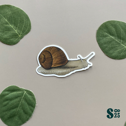 Snail Sticker