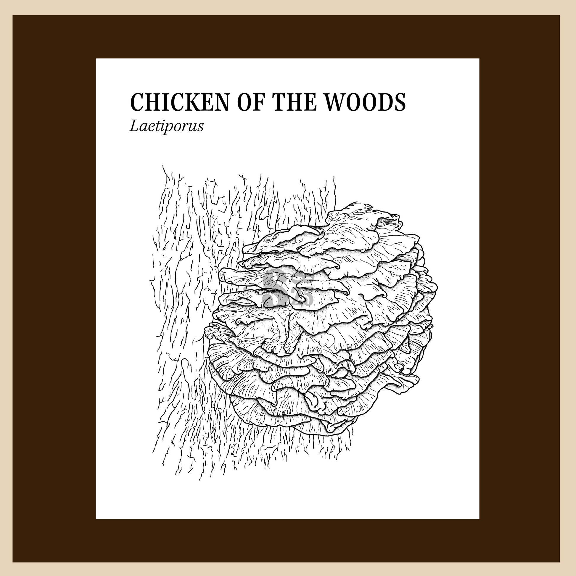woods coloring pages