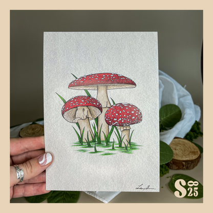 Fly Agaric Illustration Print