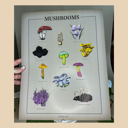 Mushroom Print